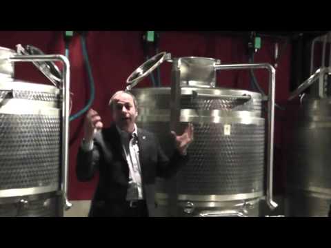 La nascita del Valcalepio - A.Lecchi (Az. Casa Virginia, Villa D'Almè, BG)