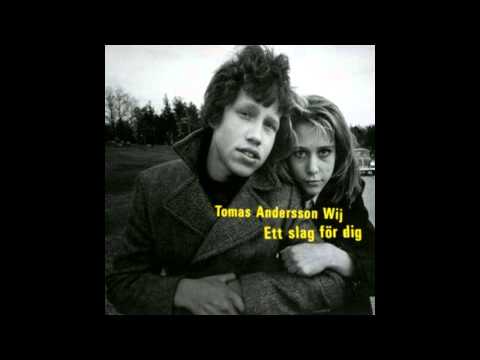 Sanningen Om Dig- Thomas Andersson Wij