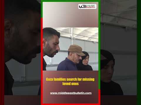 The Devastating Human Cost of the Gaza Conflict | Families Seek Answers