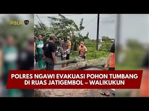 PRESISI UPDATE: POLRES NGAWI EVAKUASI POHON TUMBANG DI RUAS JATIGEMBOL&ndash;WALIKUKUN 23/02/26 (20.30)