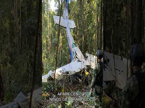 ENCUENTRAN CON VIDA A LOS NIÑOS PERDIDOS EN LA SELVA #shorts #niños