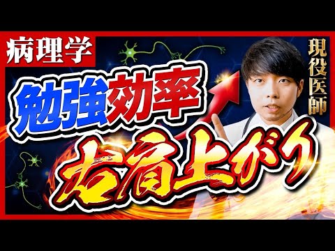 医学科 【病理学暗記しない勉強法】CBTでも役立つ！医学生道場流ワンランク上の勉強法【現役医師】