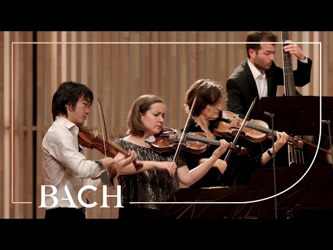 Bach - Allegro from 'Brandenburg' concerto no. 3 BWV 1048 - Sato | Netherlands Bach Society