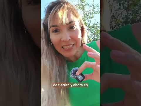 Lissett Morales-13
