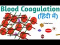 Blood Coagulation in Hindi | Pravin Bhosale