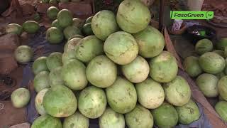 Consommation de la pastèque à Ouagadougou : Constat dans un marché
