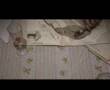 Johnny Flynn - Leftovers