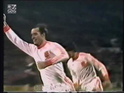 1982 FIFA World Cup Qualification - Netherlands v. Belgium