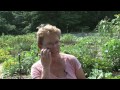 Inside Wellesley Residents Take Pride In Plots At Community Garden