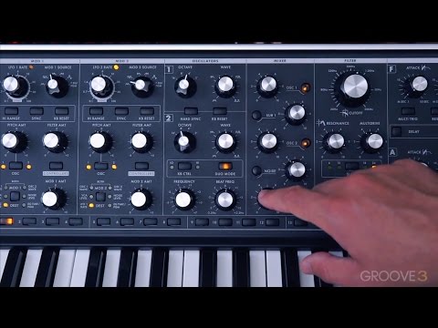 Moog Sub37 Explained Oscillators (Groove3 Tutorial)