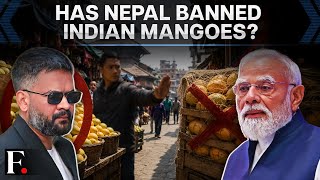 Did Nepal Really Ban Indian Mangoes After Japan? The Real Story Behind The Mango Row | FP Explains