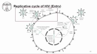 HIV: Virology
