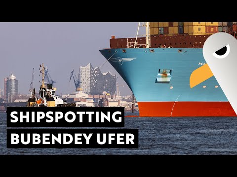 Beifang, Bügeleisen & Beluga 🚢 Shipspotting am Bubendey Ufer ⚓️ Hamburg Hafen Live