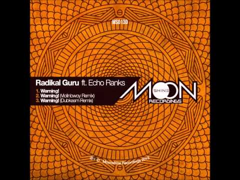 Radikal Guru ft Echo Ranks - Warning! (Violinbwoy Remix)