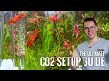 Beginner CO2 Setup Guide For Planted Aquariums EP10 Planted Tank Overview
