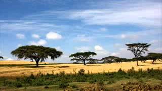 Deep Forest Savana Dance