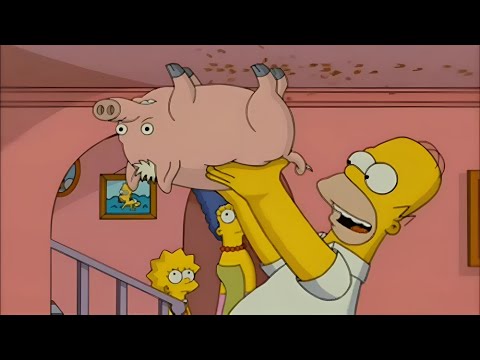 French Spider Pig - The Simpsons Movie