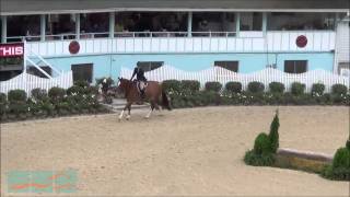 Gone Fishin', Adult Amateur Hunters