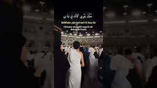 Download lagu #'hubbuka fi qolbi' menceritakan tentang cinta yang mendalam dan kerinduan kepada Nabi Muhammad SAW, mp3 Download lagu #'hubbuka fi qolbi' menceritakan tentang cinta yang mendalam dan kerinduan kepada Nabi Muhammad SAW, mp3