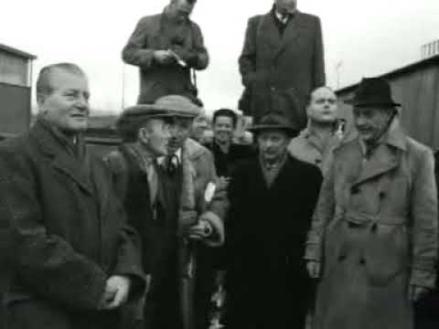 '1957 newsreels reporting the arrival of a special cargo plane in Zestienhoven airport
