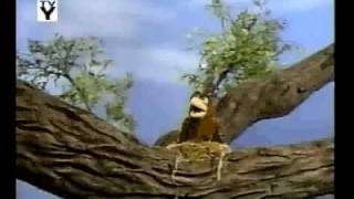 One Flew Over The Cuckoo&#39;s Nest