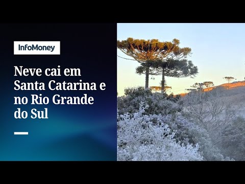 Neve chega em Santa Catarina e no Rio Grande do Sul