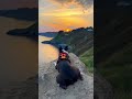 My Dog Is Obsessed With Watching Sunset