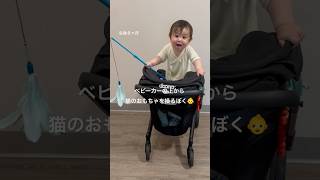 #赤ちゃん #ねこ #baby #catvideos #catrescue #happy #ハワイ #保護猫 #babyshorts ##アメリカ生活 #cutebaby #cutecat