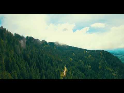 It's Funny how you missed me #AlexMusic #MusicChannel #MusicLovers #englishsongs #songs