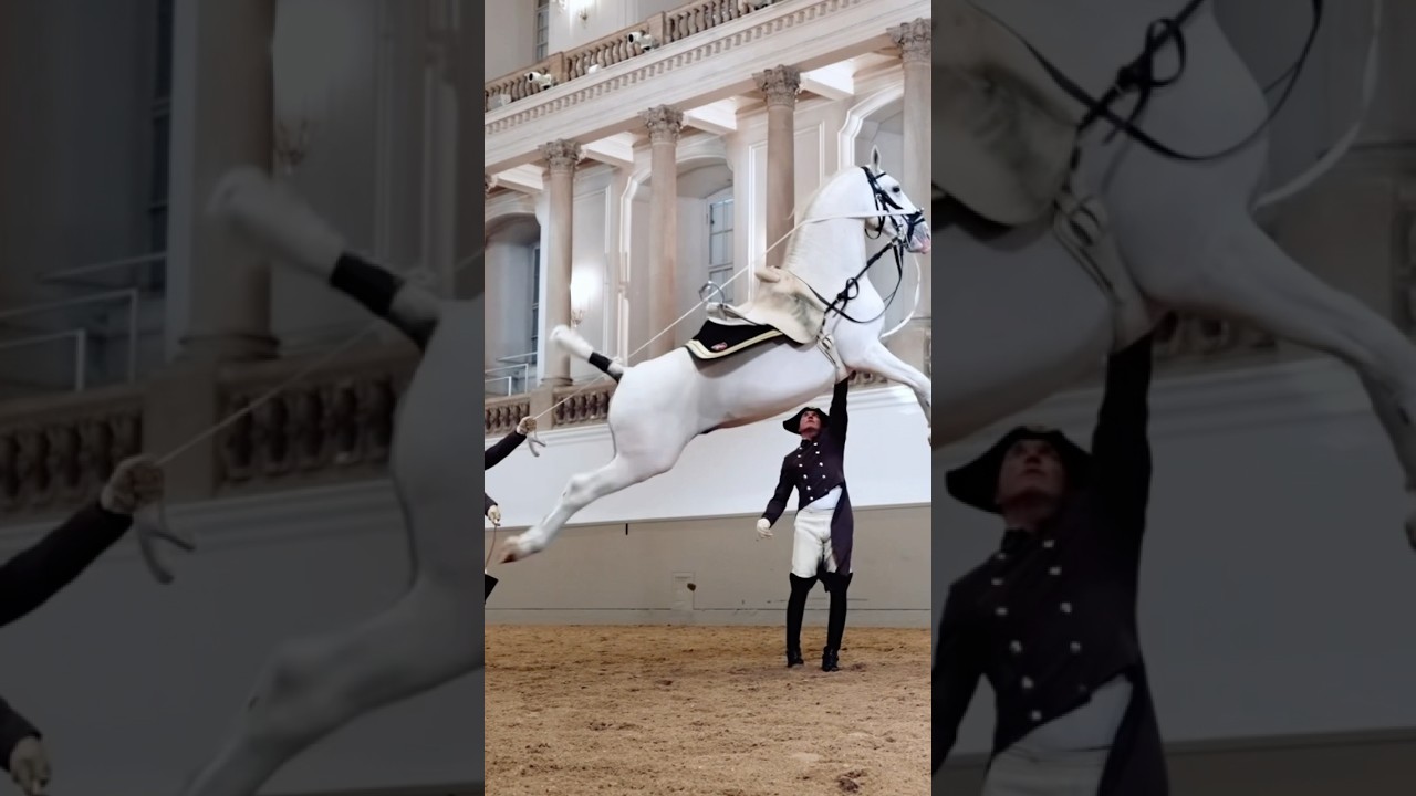 YouTube Short thumbnail