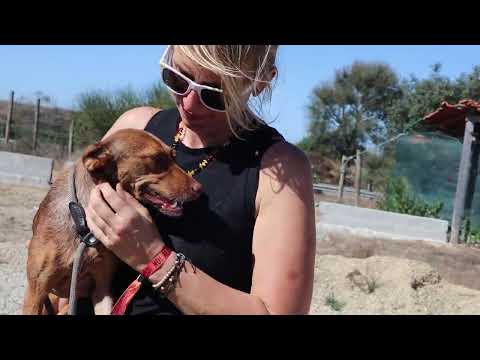 Vídeo de DORINHA