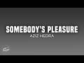 Aziz Hedra Somebody S Pleasure Speed Up Lyrics