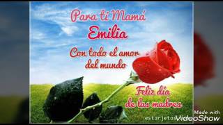 La mas bella, bronco