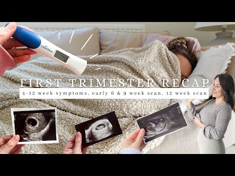 MY FIRST TRIMESTER (4 -13 weeks) | line progression, early scans, bleeding & spotting, 12 week scan