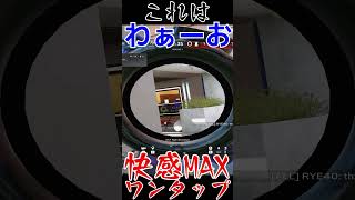 【R6S】快感MAXワンタップキル  #shorts  #rainbowsixsiege   #父ノ背中 #r6s  #レインボーシックスシージ