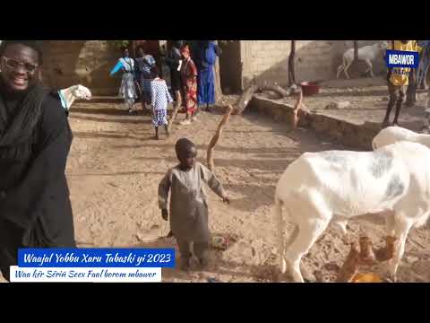 Tabaski 2023 Wa keur Serigne Cheikh Fall Mbawor