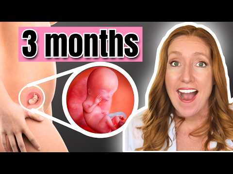 Pregnancy month 3: Literally Everything You NEED to Know about the Third Month of Pregnancy