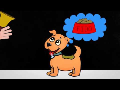 Joe Dispenza - Pavlov's Dogs and the Placebo Effect