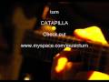 Catapilla by turn