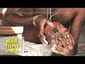 Watch it to believe It!! The terrifying Aghori sadhus ...