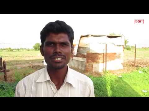 Embedded video