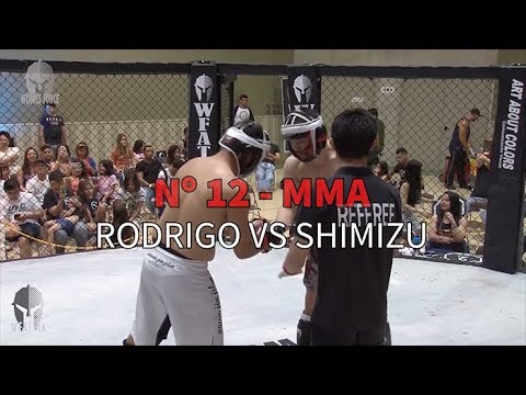 RODRIGO VS SHIMIZU LUTA Nº 12 WFAT - IX