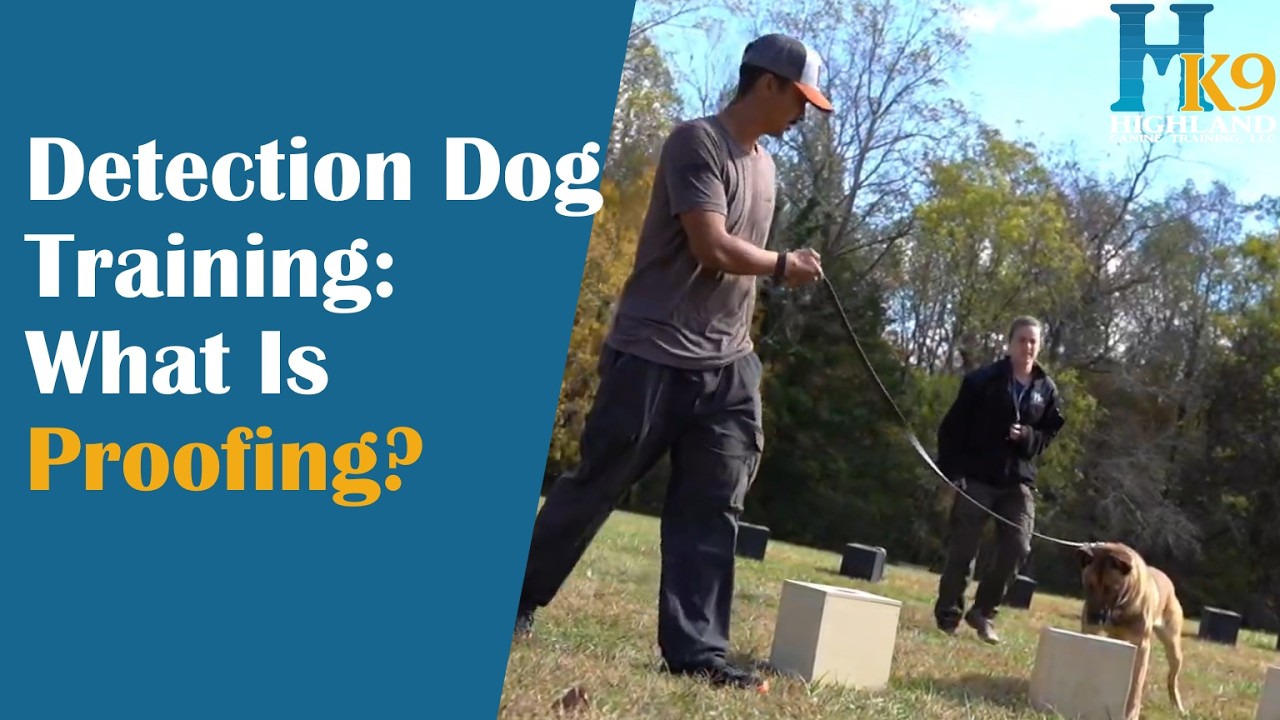 What Is Proofing In Detection Dog Training?