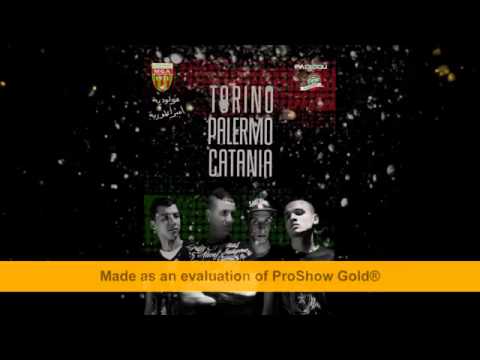 Torino Palermo Catania & D 16   2014   سلعة اليوم صافية