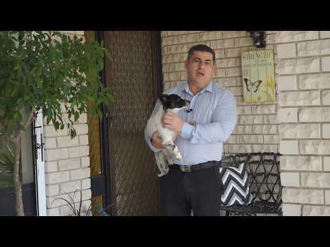 19 Kelburn Pl, Airds NSW 2560