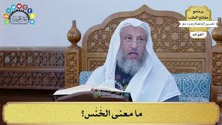 117 - ما معنى الخُنَّس؟ - عثمان الخميس