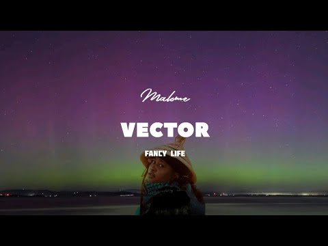 Malome Vector-Fancy Life lyrics @Thewholetime1414  @malomevector2521