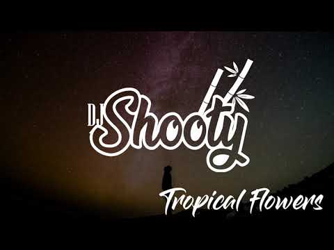 Ariana grande - Side To side (Remix) High King ft Shooty