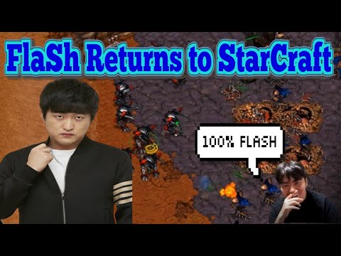 FlaSh Returns to StarCraft News w/ Pro reactions