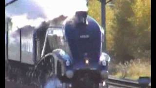 preview picture of video '60019 Bittern The White Rose 13/11/2010'